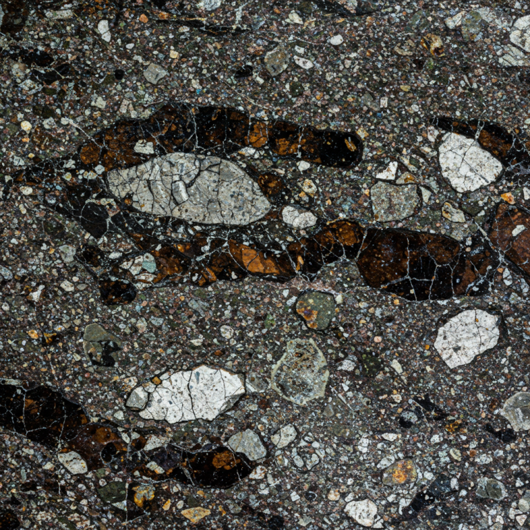 Primer plano de una roca clástica de grano fino, con clastos de formas blancas y oscuras incrustadas en una matriz gris.
