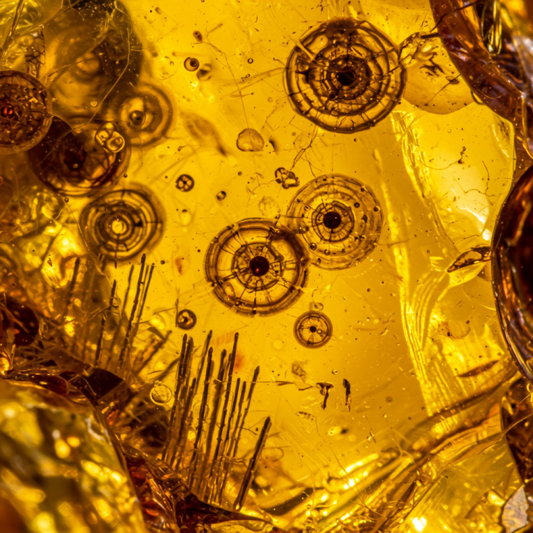 Macro de una pieza de ámbar con inclusiones circulares internas llamadas "spangles" creadas por calor.