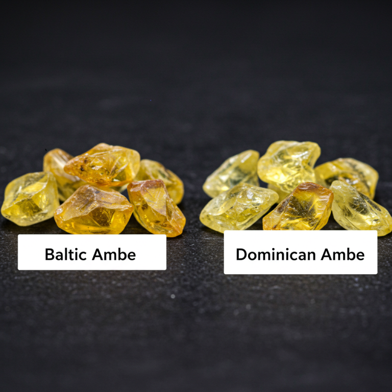 Colección de ámbar Báltico (opaco, claro) y ámbar Dominicano (transparente, oscuro) para comparar tipos.